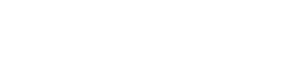 logo-netsat