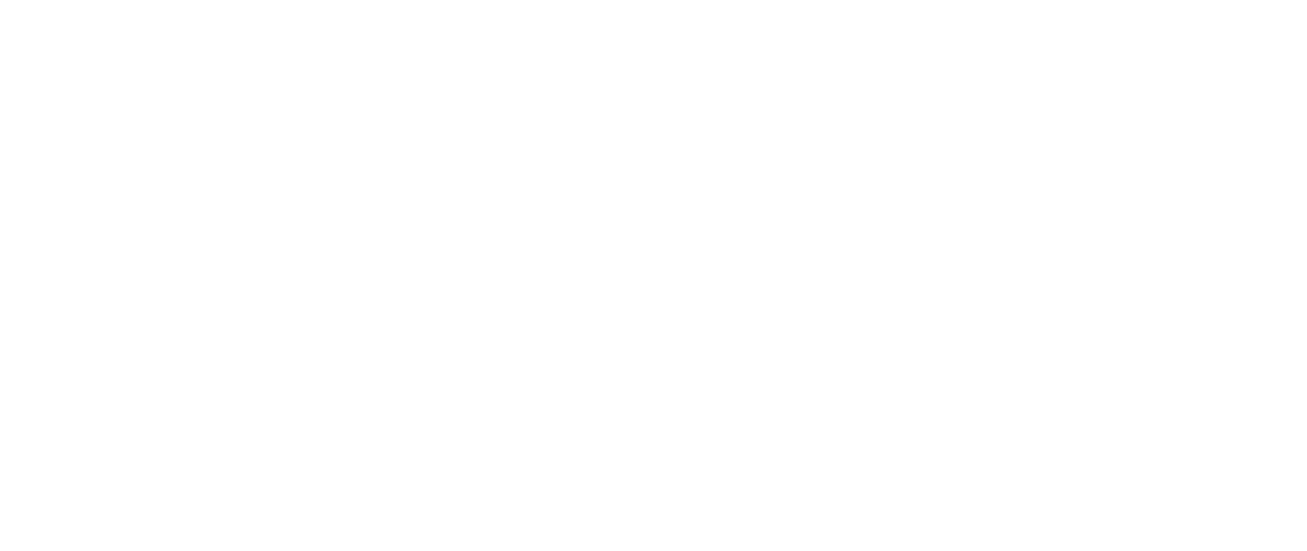 Logo Ami